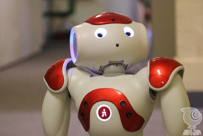 机器人也在进行语言训练 未来或能干简单家务