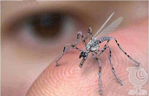 生物无人机？美军方欲打造昆虫机器人部队