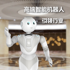 第二届国际服务机器人峰会在京召开